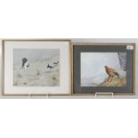 Cecil Hodgkinson, watercolour, 'Golden Eagle and Prey', label to reverse, 19.5 x 26.