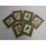 A set of six watercolours, signed EB, mainly depicting birds, framed and glazed, 12 x 9.5cm.