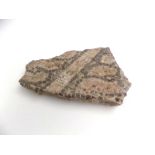 A section of Roman floor mosaic, with original collection label partly inscribed 'Smyrna',