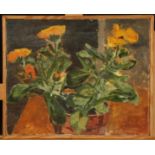 Valerie WILSON nee Knight (1950-2004) Marigolds Oil on canvas 33 x 41cm