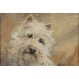 Lucy DAWSON (1867-1958) West Highland terrier Gouache Signed 16 x 24 cm Condition report: