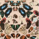 Damien HIRST (1965) Fragment from 'INA A GADDA DA VIDA' Print 18 x 18 cm