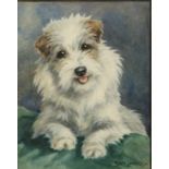Nina Scott LANGLEY (1890-1964) Sealyham terrier Watercolour Signed 18 x 14cm