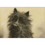 Lucy DAWSON (1867-1958) Cairn terrier Gouache Signed 16 x 24 cm Condition report: