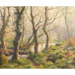 Denys LAW (1907-1981) Lamorna woods Oil on board Signed 48.