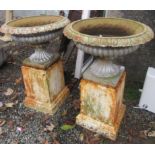 A pair of cast iron garden urns and stands.