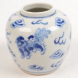 A Chinese blue and white porcelain ginger jar, decorated with dogs of fo and cloud scrolls,
