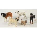 Five Beswick porcelain models of dogs, including a Doberman, St Bernard, Dalmatian,