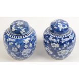 Two Chinese prunus pattern ginger jars, circa 1900, each with four character Kangxi mark,
