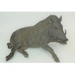 A life size model bronze boar, maximum length 100cm, maximum height 62cm.