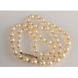 A cultured pearl necklace with 9ct gold clasp.