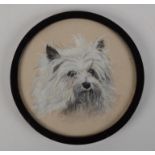 A charcoal drawing of a terrier's head, diameter 16.5cm.