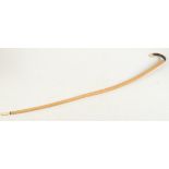 A bull's pizzle walking stick, with horn and ivory handle and ivory ferrule, length 86.5cm.