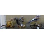 Taxidermy. A Jay, grey squirrel and weasel, each on open display