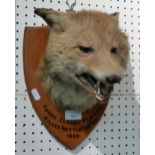 A mounted fox mask dated 1928