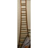 A Bratts wooden unit tree ladder