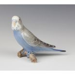A Danish figure of a budgerigar standing on a branch no.457 12cm The base is chipped