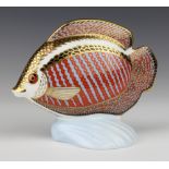 A Royal Crown Derby Imari pattern paperweight - Tropical Fish with silver stopper 11cm