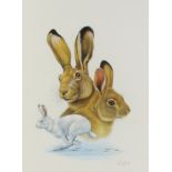 Richard W Orr, gouache, signed, studies of rabbits and hares 39cm x 39cm