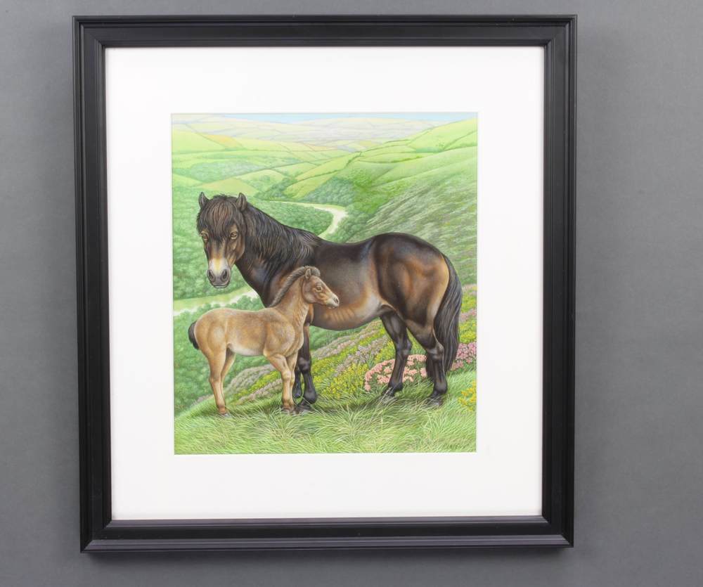 Richard W Orr, gouache, signed, study of Exmoor ponies in extensive landscape 28cm x 25cm - Image 2 of 2
