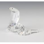 A Swarovski Crystal Cobra by Heinz Tabertshofer 243979/760300000 2000 7cm boxed