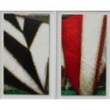 John Shinnors SCOTTISH KITES- BANNA STRAND Dyptich, Oil on linen laid on panel, each panel 20 1/2" x