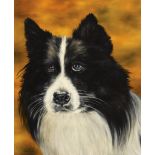 Dermot Seymour SHEEP DOG Oil on canvas, 24" x 20", signed and dated 2003 verso.