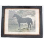 Polychrome Print of a horse ,