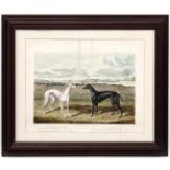 Hare Coursing / Longdogs, Edwin H Hunt after Richard Powell, Hand coloured engraving,