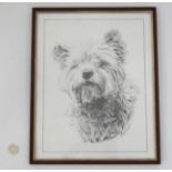 Print of a dog signed Michael Burgess CONDITION: Please Note - we do not make
