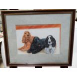A picture of Three Cocker Spaniels,