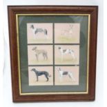 Set of six 'Imperial Greyhounds ' mounted in frame, by M Phillips,