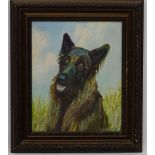 Cochrane XX, Oil on canvas board, Portrait of an Alsation Dog, Signed lower right.