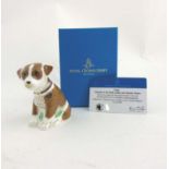 A Royal Crown Derby limited edition fine bone china paperweight ''Colin the puppy'',