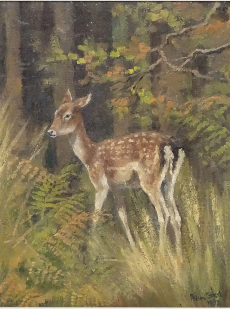 Alison Gilest 1952, Oil on canvas, A young Fallow deer in a woodland, Signed and dated lower right. - Image 4 of 5