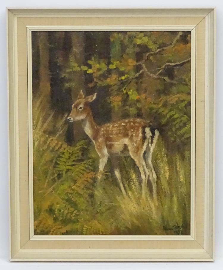 Alison Gilest 1952, Oil on canvas, A young Fallow deer in a woodland, Signed and dated lower right.