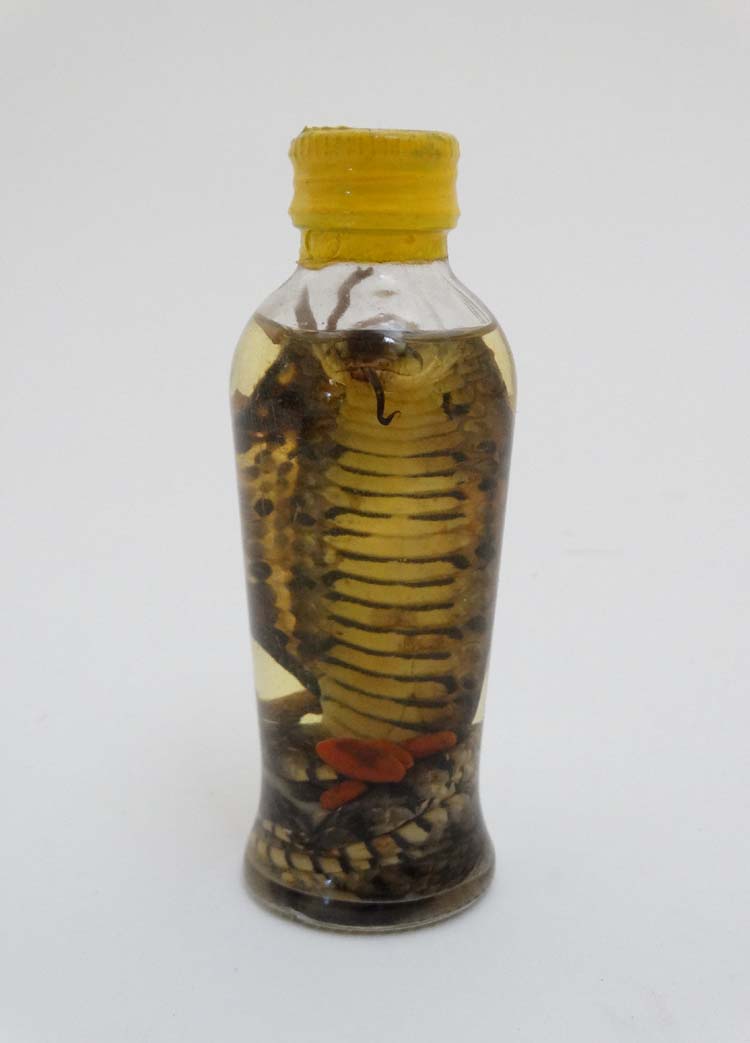 Taxidermy : A preserved Cobra in bottle , placed in attacking position with open hood . - Image 3 of 6