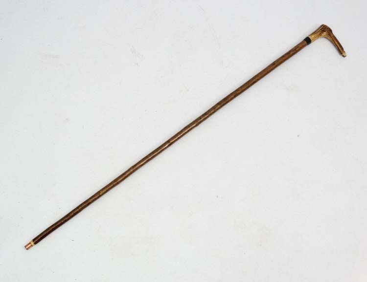 Whistle Stick : A fine Antler handled Walking and Whistle Stick with Buffalo horn collar and Hazel - Image 3 of 7