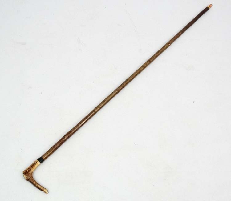 Whistle Stick : A fine Antler handled Walking and Whistle Stick with Buffalo horn collar and Hazel - Image 2 of 7