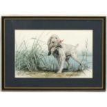 Gun dog: After indistinctly signed, Coloured print,