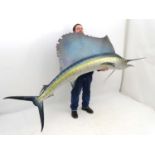 Taxidermy: A large, imposing side mount of a Sailfish,