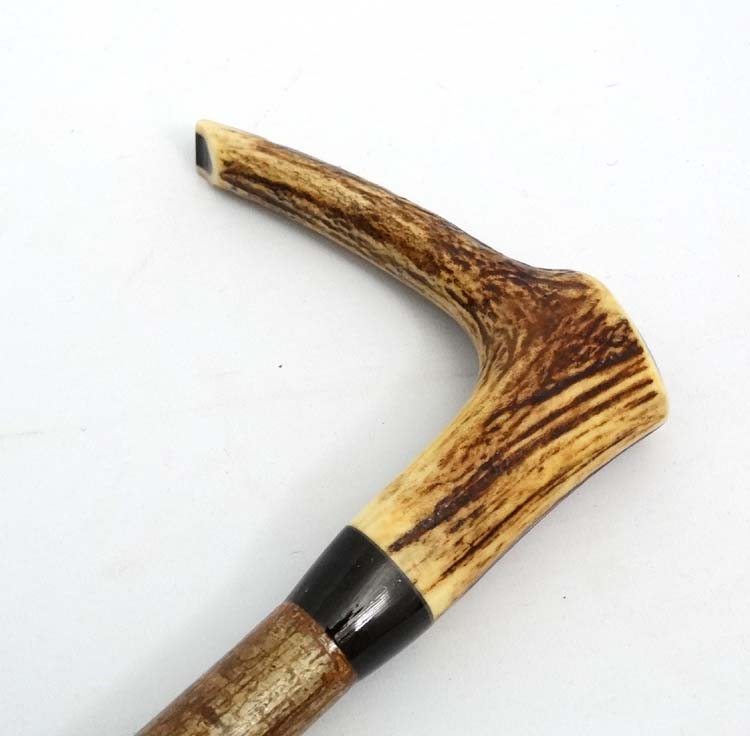 Whistle Stick : A fine Antler handled Walking and Whistle Stick with Buffalo horn collar and Hazel - Image 4 of 7