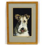 Dog: M Burgess '79, Scraperboard with colour, Portrait of a Fox Terrier, Signed and dated to mount,