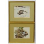 Shooting: Whiteley XIX-XX, Watercolour, a pair, English Partridge & Rabbit in the snow,