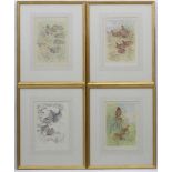 Shooting: Peter Partington (1941), Four limited edition, signed hand coloured etchings, Gamebirds,