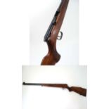 Rimfire Rifle : A .