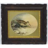 Shooting: John Duncan (XIX-XX), Watercolour and gouache 1907, an oval, 'Jack Snipe', wading bird,