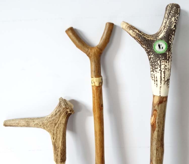 Walking Sticks: A collection of three antler handles sticks to include a National Organisation of - Image 3 of 4