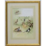 Ben Hoskyns (1963), Watercolour, Pheasant, Sky Lark, Magpie, English Partridge, Turtle Dove, Hare,