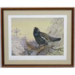 Shooting: After Archibald Thorburn (1860-1935), Limited edition coloured print 65/850,